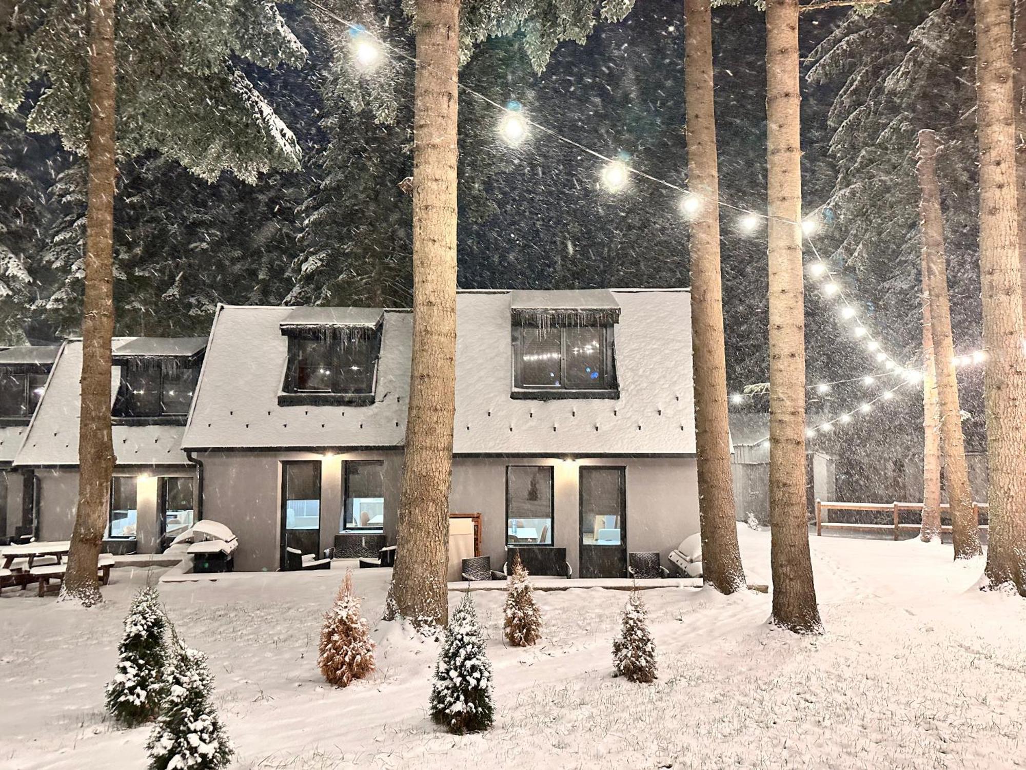 Boro Green Holiday Village 보로베츠 외부 사진